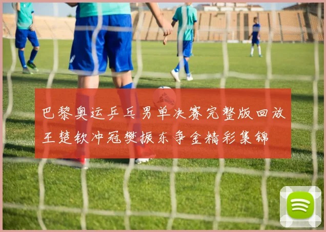 巴黎奥运乒乓男单决赛完整版回放王楚钦冲冠樊振东争金精彩集锦