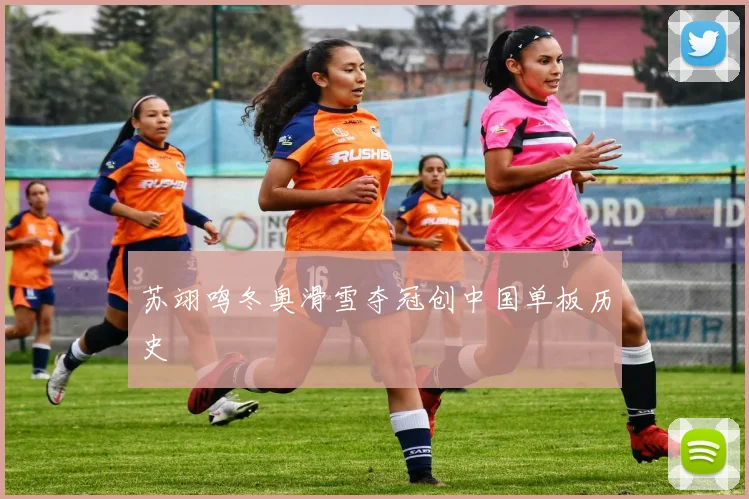 苏翊鸣冬奥滑雪夺冠创中国单板历史