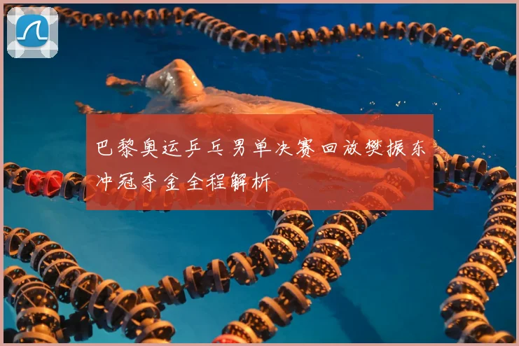 巴黎奥运乒乓男单决赛回放樊振东冲冠夺金全程解析