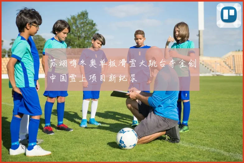 苏翊鸣冬奥单板滑雪大跳台夺金创中国雪上项目新纪录