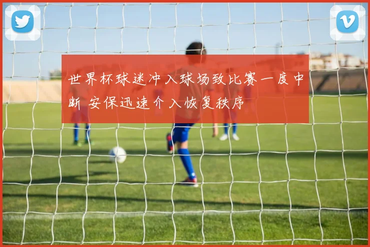 世界杯球迷冲入球场致比赛一度中断 安保迅速介入恢复秩序