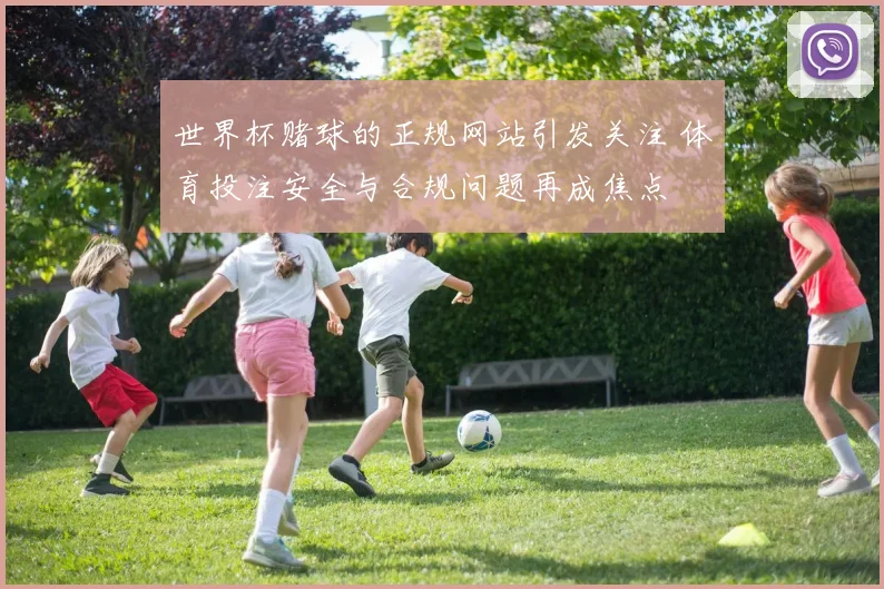 世界杯赌球的正规网站引发关注 体育投注安全与合规问题再成焦点