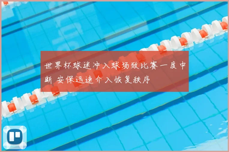 世界杯球迷冲入球场致比赛一度中断 安保迅速介入恢复秩序