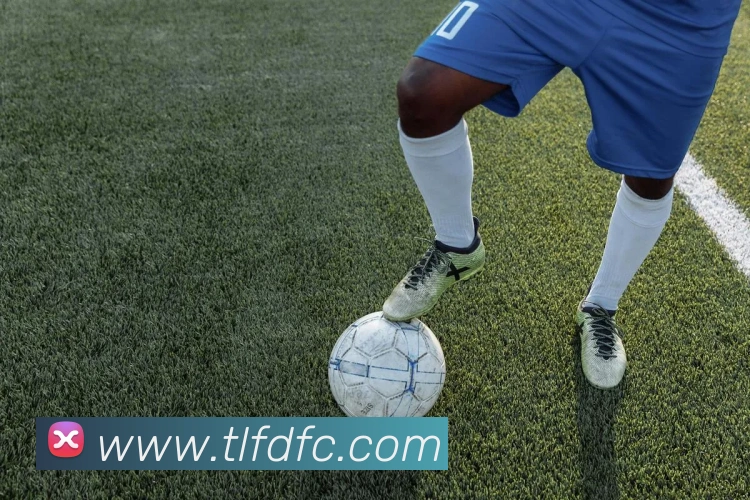 巅峰国标pg官网APP 高清赛事图